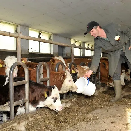 Farm stay Timmelbauerhof