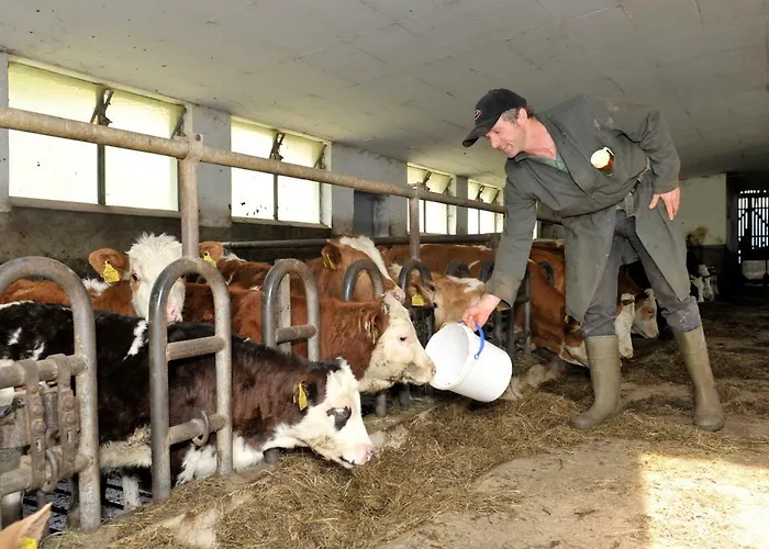 팜스테이 Timmelbauerhof